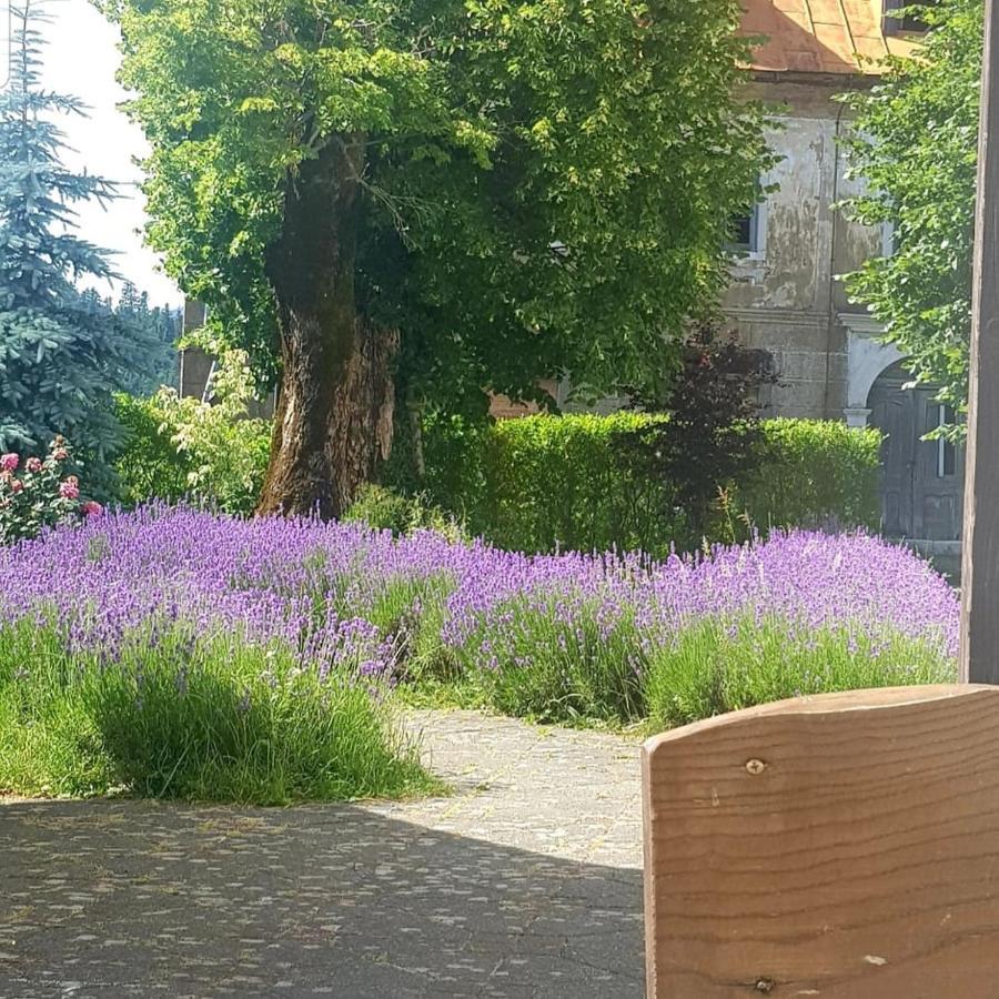 Fuzinarska Kuca Hotel Fuzine Bagian luar foto